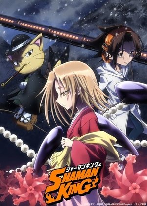 Poster for SHAMAN KING: Specials