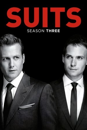 Poster for Suits Webisodes: Season 3 - Paper Trail