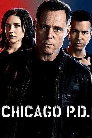 Poster for Chicago P.D.: Season 2