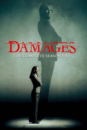 Poster for Damages: Season 5