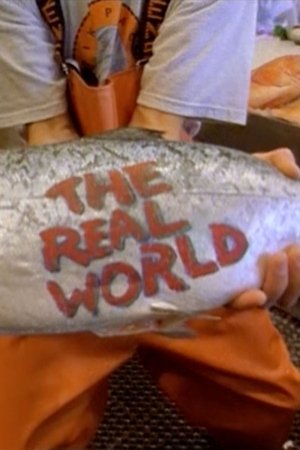 Poster for The Real World: Seattle