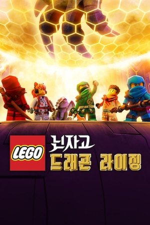 Poster for LEGO Ninjago: Dragons Rising: Specials