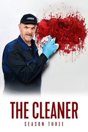 Poster for The Cleaner: Series 3