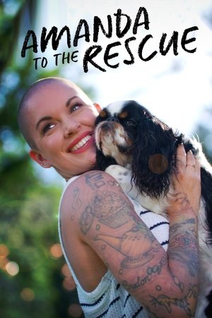 Poster for Amanda to the Rescue: Season 2