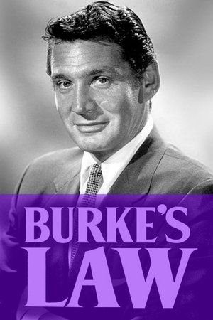 Poster for Burke's Law: Season 2