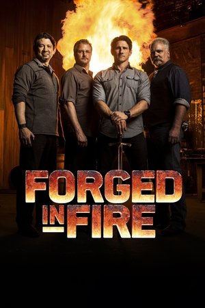 Poster for Forged in Fire: Season 1