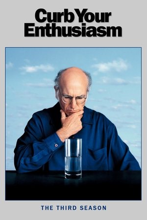 Poster for Curb Your Enthusiasm: Season 3
