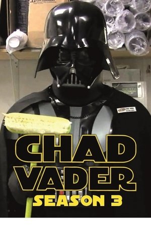 Poster for Chad Vader: Day Shift Manager: Season 3