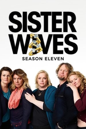 Poster for Sister Wives: Season 8
