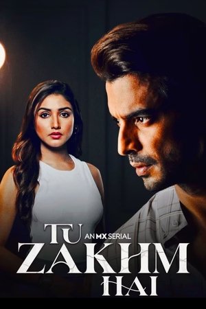 Poster for Tu Zakhm Hai: Season 1