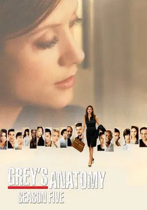 Poster for Grey's Anatomy: Season 5