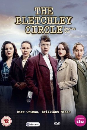 Poster for The Bletchley Circle: Season 2