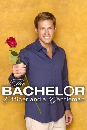 Poster for The Bachelor: Officer and a Gentleman