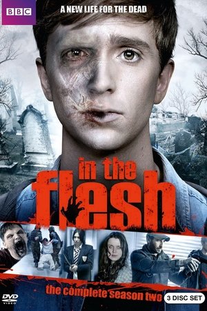 Poster for In the Flesh: Season 2