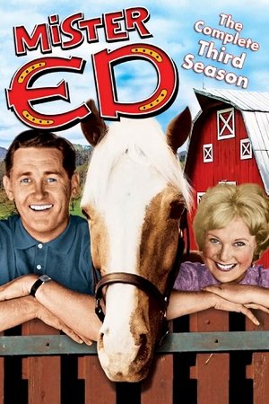 Poster for Mister Ed: Season 3