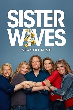 Poster for Sister Wives: Season 6