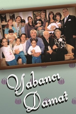 Poster for Borders of Love: Season 3