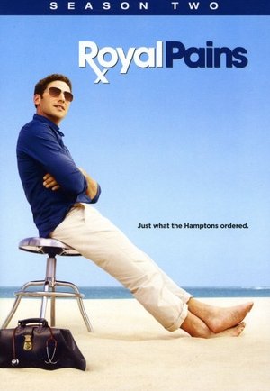 Poster for Royal Pains: Season 2