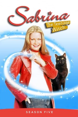 Poster for Sabrina, the Teenage Witch
