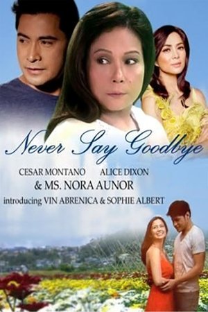 Poster for Never Say Goodbye: Season 1