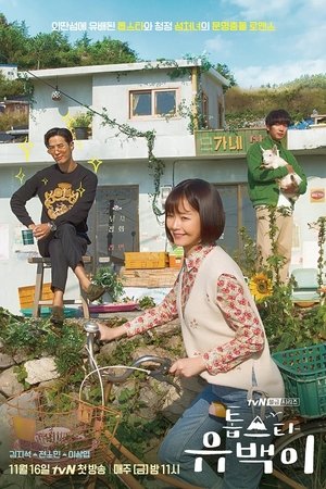 Poster for Top Star, Yoo Baek: Season 1