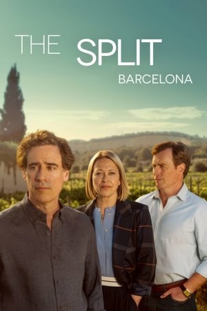 Poster for The Split: Specials