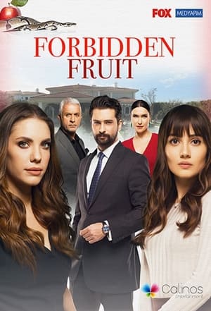 Poster for Yasak Elma: Season 5