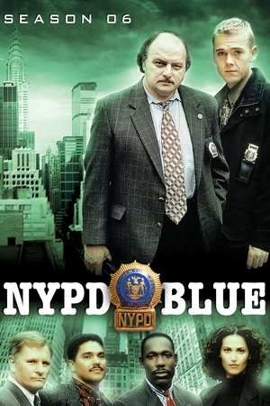 Poster for NYPD Blue: Season 6