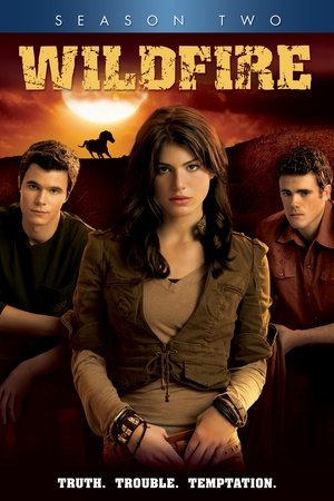 Poster for Wildfire: Season 2