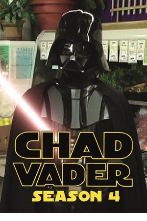 Poster for Chad Vader: Day Shift Manager: Season 4