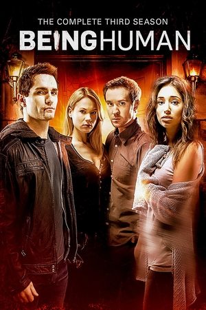 Poster for Being Human: Season 3