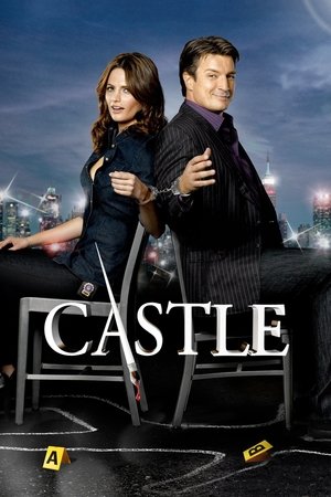 Poster for Castle: Season 3