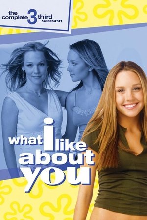 Poster for What I Like About You: Season 3