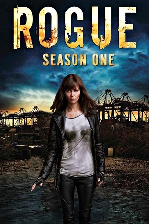 Poster for Rogue: Season 1