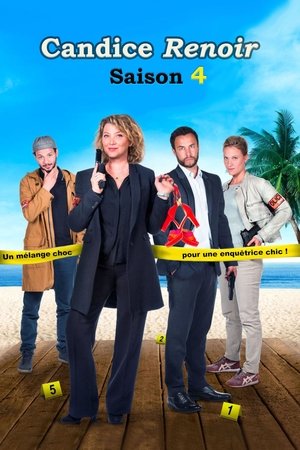 Poster for Candice Renoir: Season 4
