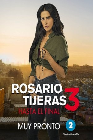 Poster for Rosario Tijeras: Season 3