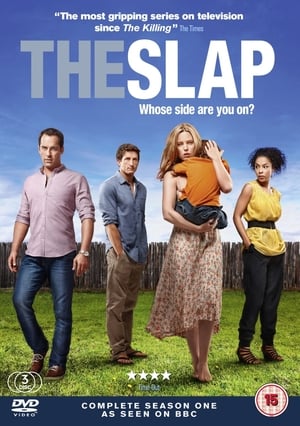 Poster for The Slap: Season 1