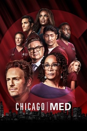 Poster for Chicago Med: Season 7