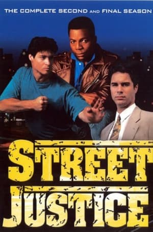 Poster for Street Justice: Season 2