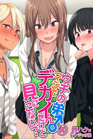 Poster for Uchi no Otouto Maji de Dekain Dakedo Mi ni Konai?: Season 1
