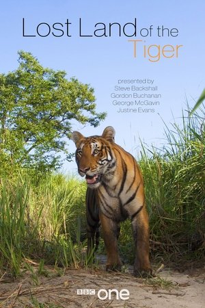 Poster for Lost Land of the Tiger: Season 1