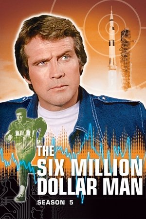 Poster for The Six Million Dollar Man: Season 5