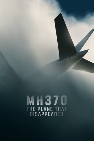 Poster for MH370: The Plane That Disappeared: Limited Series