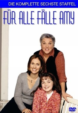 Poster for Judging Amy: Season 6