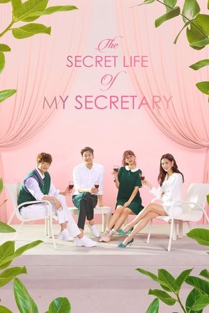 Poster for The Secret Life of My Secretary: Season 1