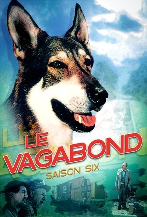Poster for The Littlest Hobo: Season 6