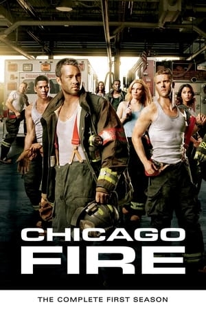 Poster for Chicago Fire: Season 1