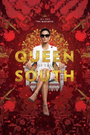 Poster for Queen of the South: Season 1