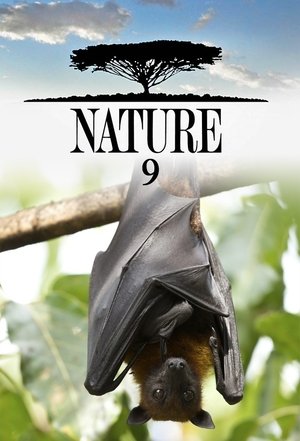 Poster for Nature: Season 9