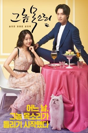 Poster for The Man's Voice: Season 1
